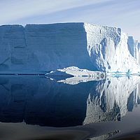 Eiskalte Schoenheit 81cm59cm