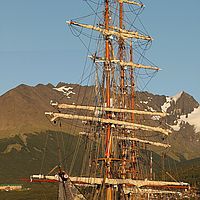 Bark Europa Panorama