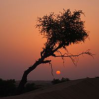Sonnenaufgang in der Wueste A4-Format